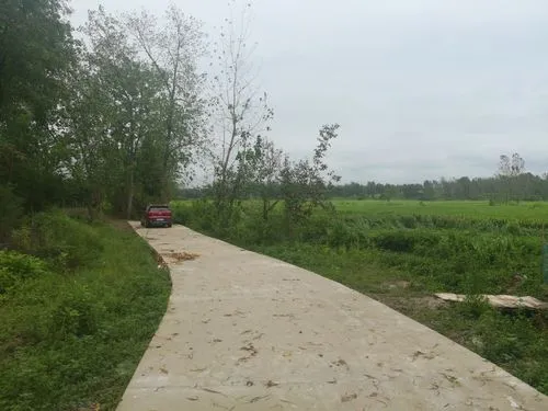 住过的房走过的路05